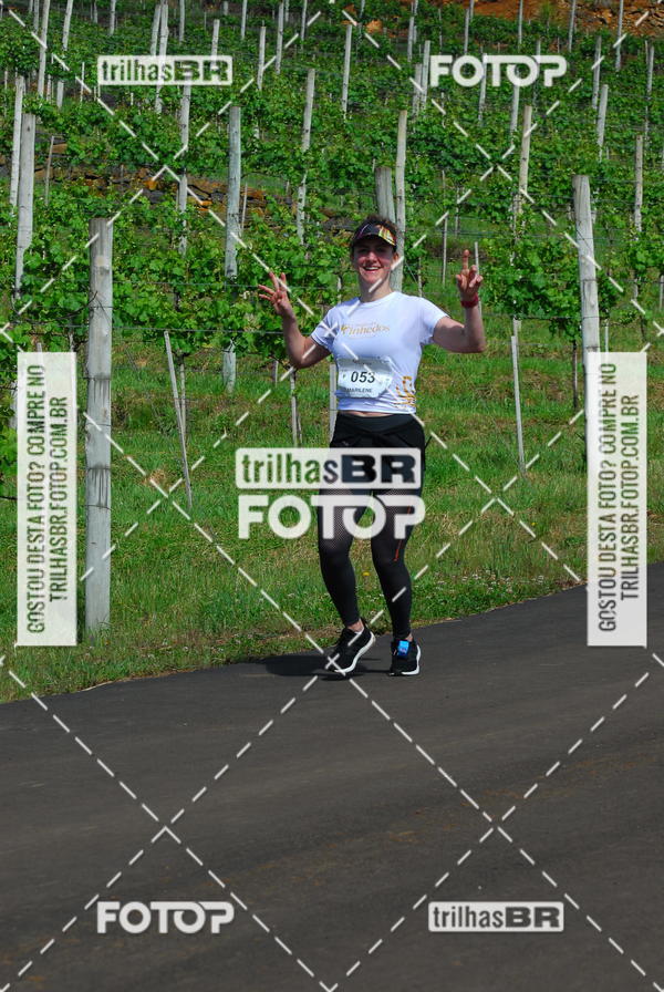 Buy your photos of the eventCIRCUITO DOS VINHEDOS - VINHOS DE ALTITUDE on Fotop