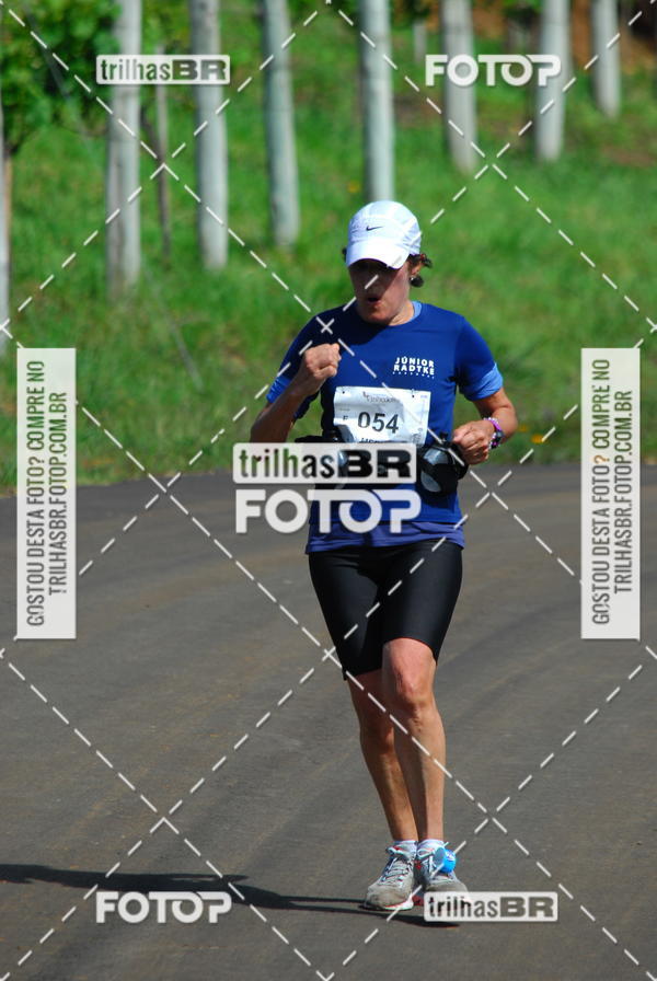 Buy your photos of the eventCIRCUITO DOS VINHEDOS - VINHOS DE ALTITUDE on Fotop