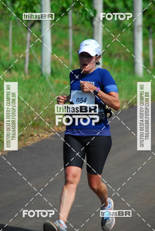 Buy your photos of the eventCIRCUITO DOS VINHEDOS - VINHOS DE ALTITUDE on Fotop