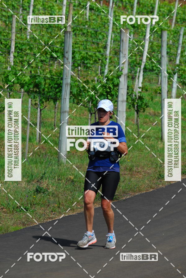 Buy your photos of the eventCIRCUITO DOS VINHEDOS - VINHOS DE ALTITUDE on Fotop