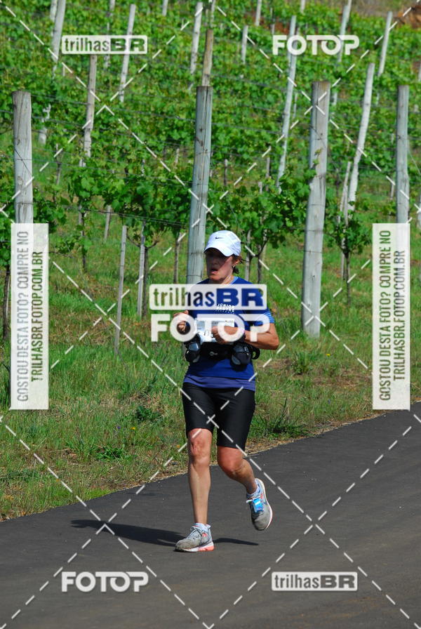 Buy your photos of the eventCIRCUITO DOS VINHEDOS - VINHOS DE ALTITUDE on Fotop