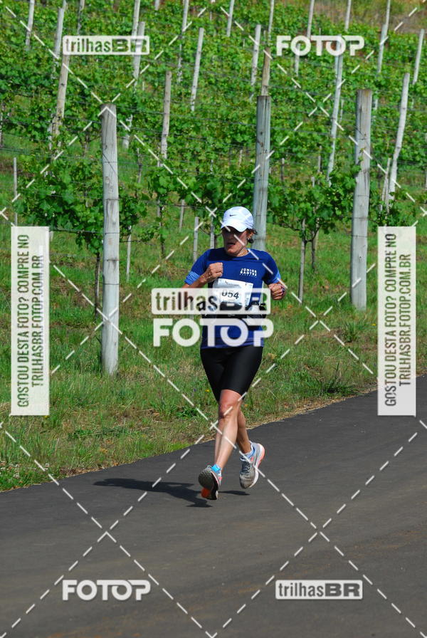 Buy your photos of the eventCIRCUITO DOS VINHEDOS - VINHOS DE ALTITUDE on Fotop