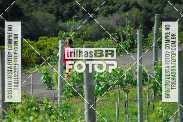 Buy your photos of the eventCIRCUITO DOS VINHEDOS - VINHOS DE ALTITUDE on Fotop