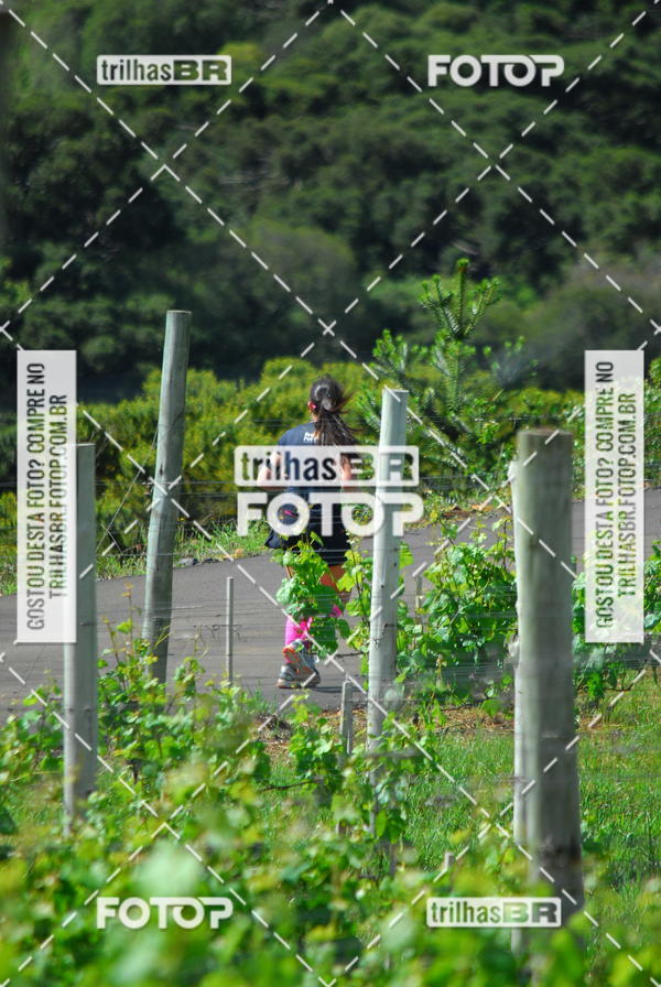 Buy your photos of the eventCIRCUITO DOS VINHEDOS - VINHOS DE ALTITUDE on Fotop
