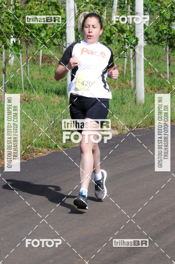 Buy your photos of the eventCIRCUITO DOS VINHEDOS - VINHOS DE ALTITUDE on Fotop