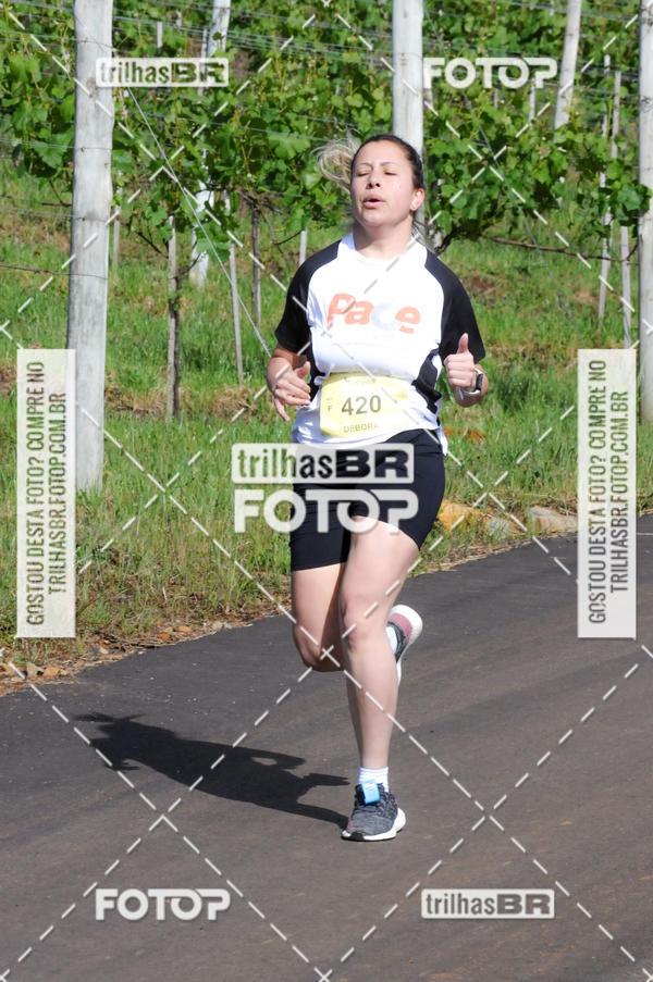 Buy your photos of the eventCIRCUITO DOS VINHEDOS - VINHOS DE ALTITUDE on Fotop