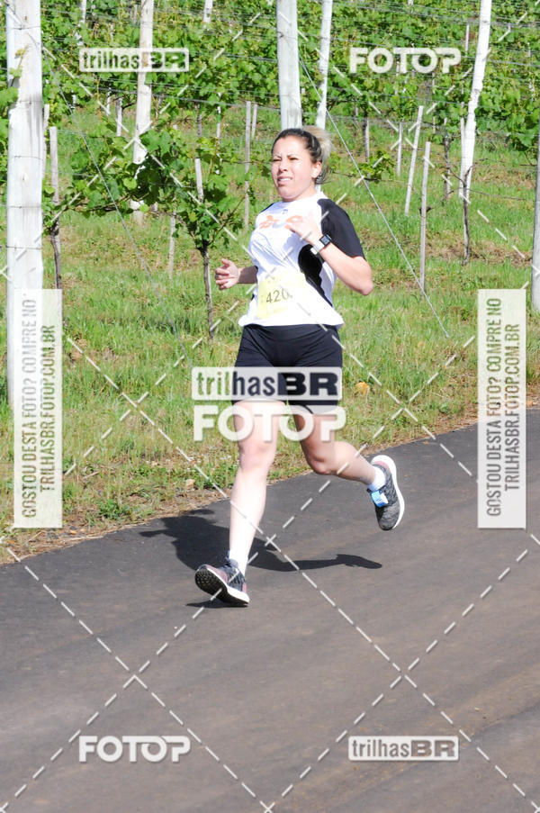 Buy your photos of the eventCIRCUITO DOS VINHEDOS - VINHOS DE ALTITUDE on Fotop