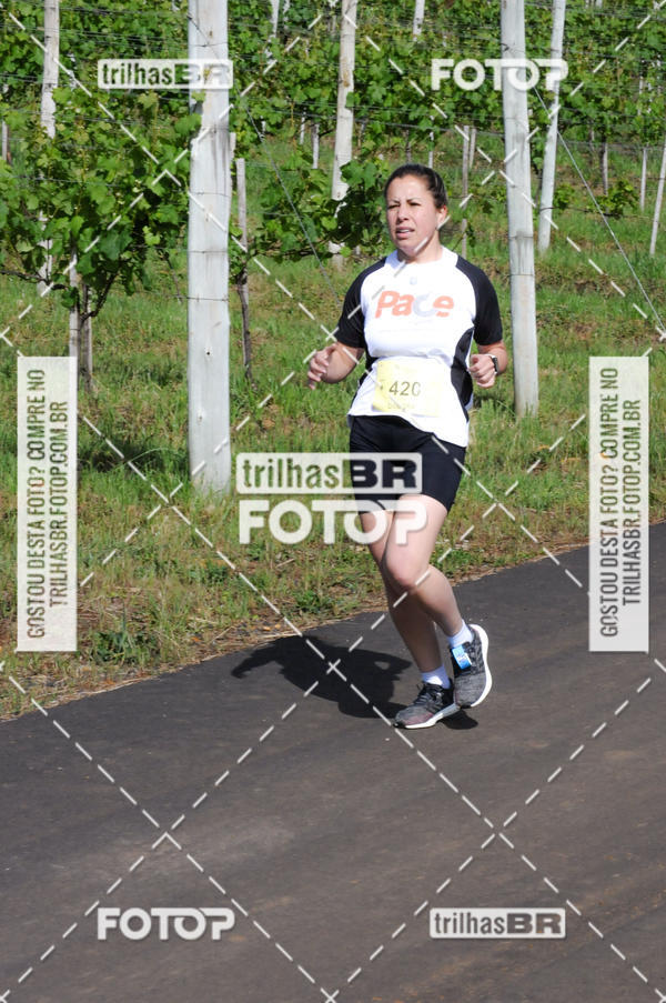 Buy your photos of the eventCIRCUITO DOS VINHEDOS - VINHOS DE ALTITUDE on Fotop