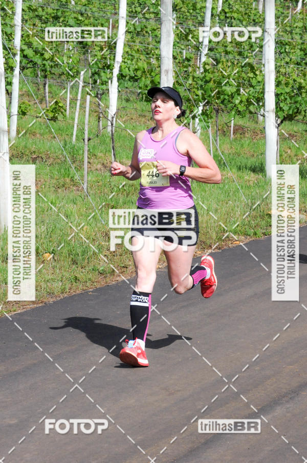 Buy your photos of the eventCIRCUITO DOS VINHEDOS - VINHOS DE ALTITUDE on Fotop