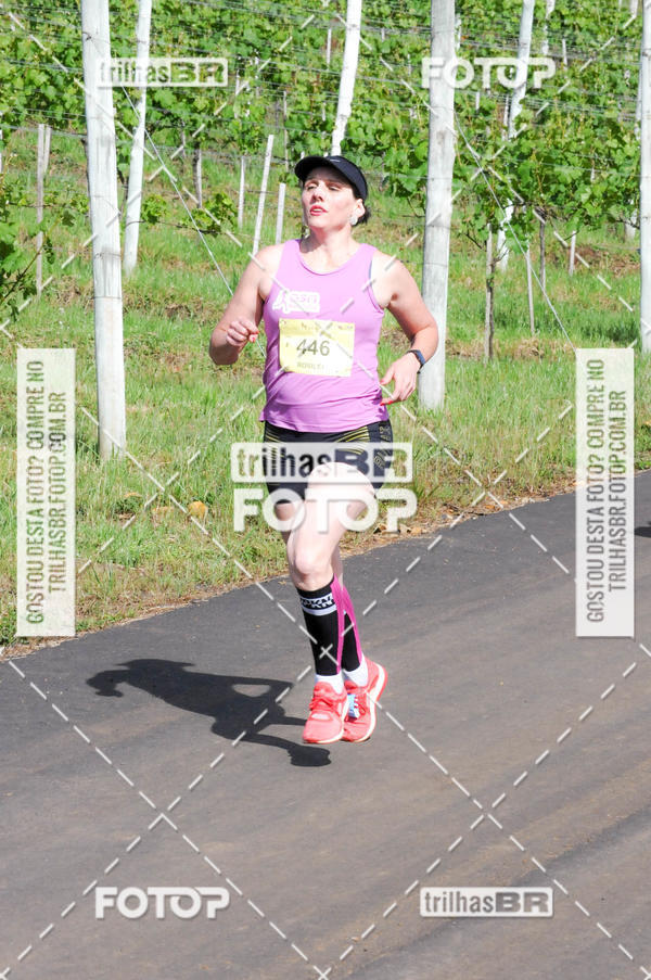 Buy your photos of the eventCIRCUITO DOS VINHEDOS - VINHOS DE ALTITUDE on Fotop