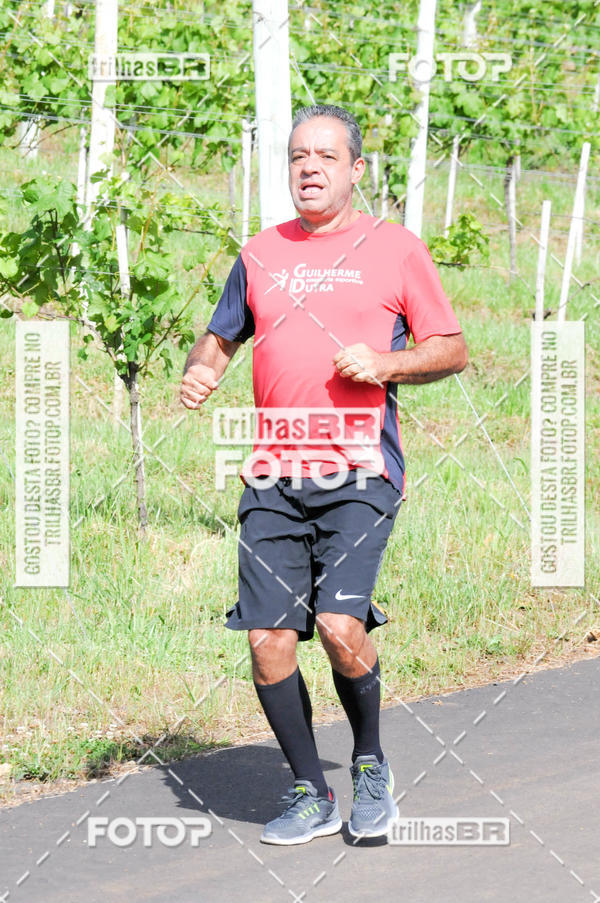 Buy your photos of the eventCIRCUITO DOS VINHEDOS - VINHOS DE ALTITUDE on Fotop