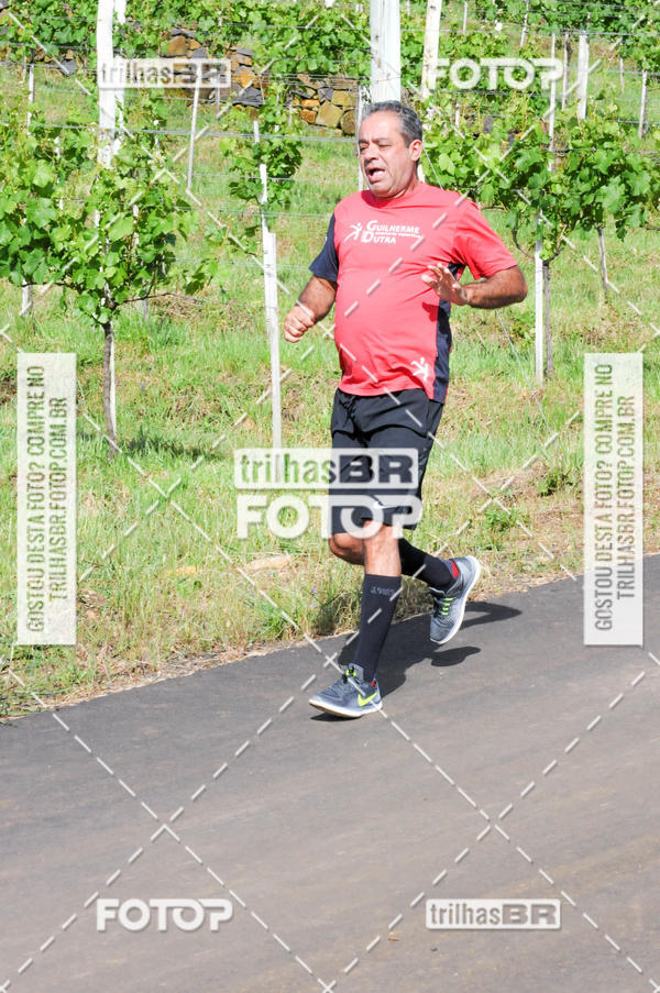 Buy your photos of the eventCIRCUITO DOS VINHEDOS - VINHOS DE ALTITUDE on Fotop