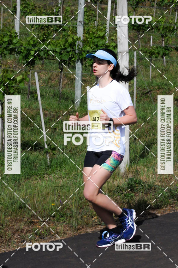 Buy your photos of the eventCIRCUITO DOS VINHEDOS - VINHOS DE ALTITUDE on Fotop