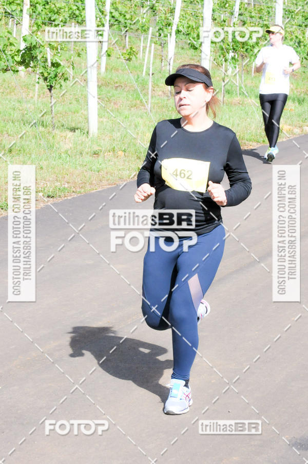 Buy your photos of the eventCIRCUITO DOS VINHEDOS - VINHOS DE ALTITUDE on Fotop