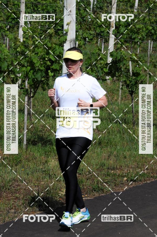 Buy your photos of the eventCIRCUITO DOS VINHEDOS - VINHOS DE ALTITUDE on Fotop