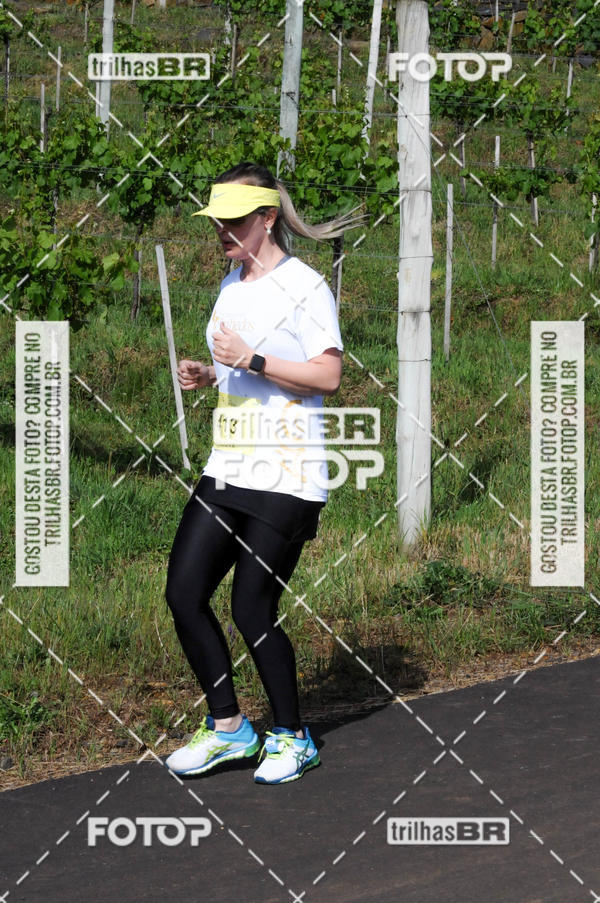 Buy your photos of the eventCIRCUITO DOS VINHEDOS - VINHOS DE ALTITUDE on Fotop