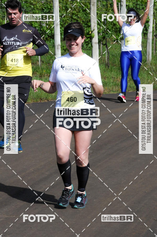 Buy your photos of the eventCIRCUITO DOS VINHEDOS - VINHOS DE ALTITUDE on Fotop