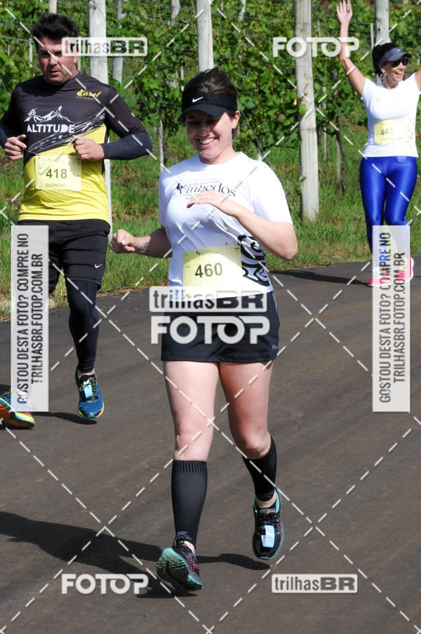 Buy your photos of the eventCIRCUITO DOS VINHEDOS - VINHOS DE ALTITUDE on Fotop