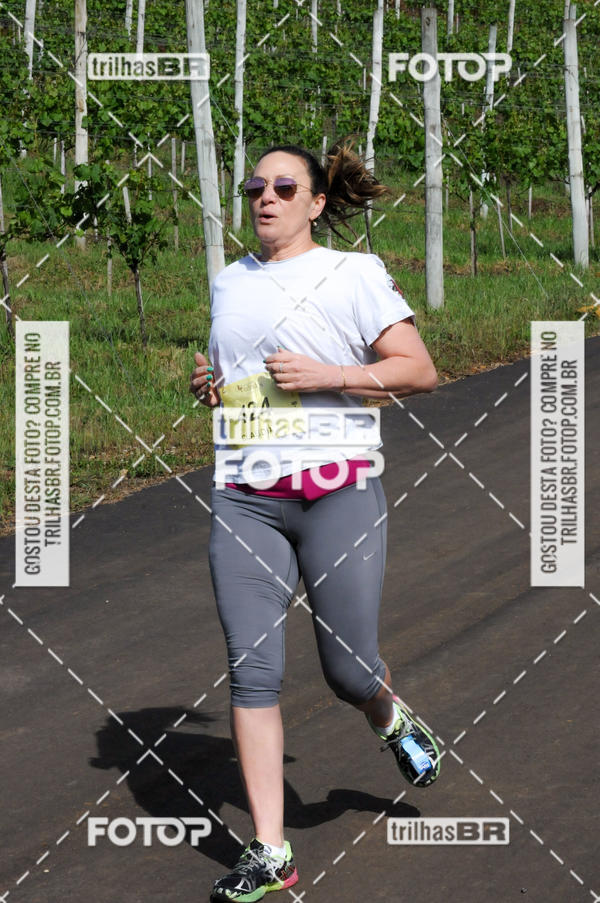 Buy your photos of the eventCIRCUITO DOS VINHEDOS - VINHOS DE ALTITUDE on Fotop