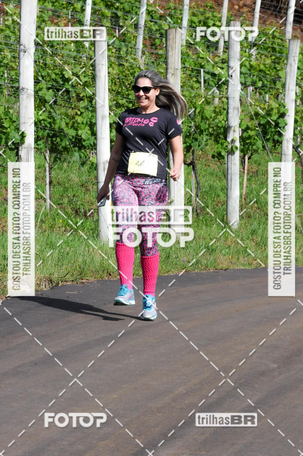 Buy your photos of the eventCIRCUITO DOS VINHEDOS - VINHOS DE ALTITUDE on Fotop