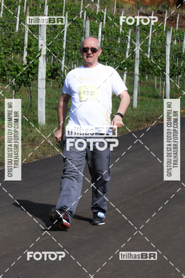 Buy your photos of the eventCIRCUITO DOS VINHEDOS - VINHOS DE ALTITUDE on Fotop