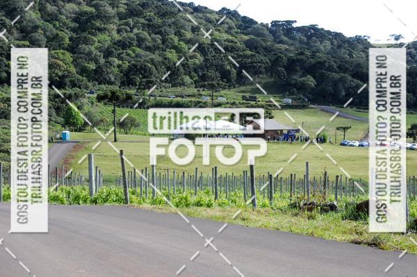 Buy your photos of the eventCIRCUITO DOS VINHEDOS - VINHOS DE ALTITUDE on Fotop