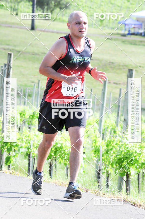 Buy your photos of the eventCIRCUITO DOS VINHEDOS - VINHOS DE ALTITUDE on Fotop