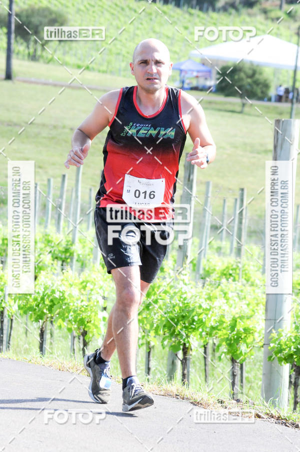 Buy your photos of the eventCIRCUITO DOS VINHEDOS - VINHOS DE ALTITUDE on Fotop