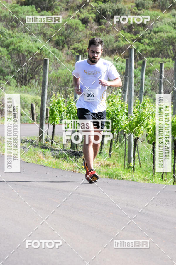 Buy your photos of the eventCIRCUITO DOS VINHEDOS - VINHOS DE ALTITUDE on Fotop