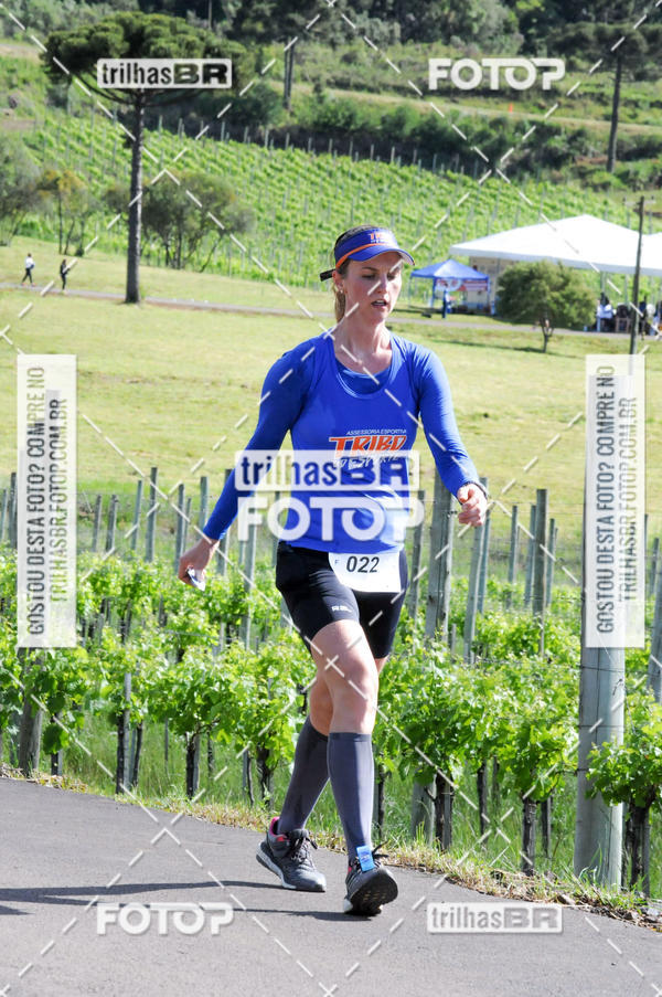 Buy your photos of the eventCIRCUITO DOS VINHEDOS - VINHOS DE ALTITUDE on Fotop