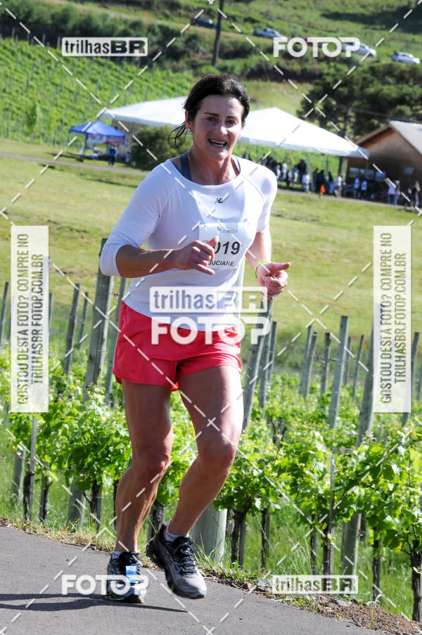 Buy your photos of the eventCIRCUITO DOS VINHEDOS - VINHOS DE ALTITUDE on Fotop