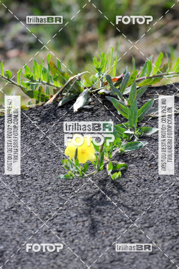 Buy your photos of the eventCIRCUITO DOS VINHEDOS - VINHOS DE ALTITUDE on Fotop