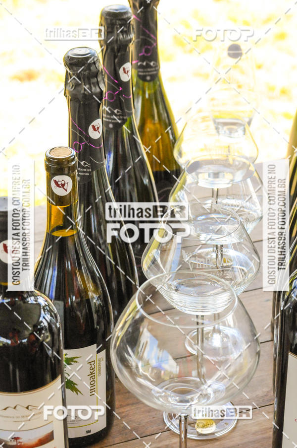 Buy your photos of the eventCIRCUITO DOS VINHEDOS - VINHOS DE ALTITUDE on Fotop