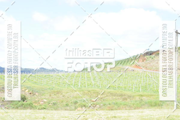 Buy your photos of the eventCIRCUITO DOS VINHEDOS - VINHOS DE ALTITUDE on Fotop