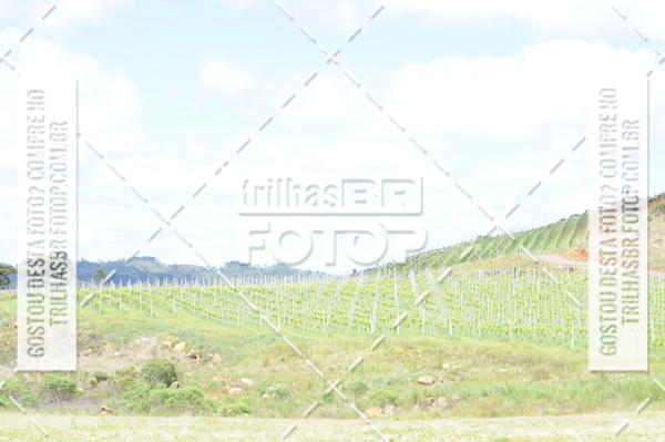 Buy your photos of the eventCIRCUITO DOS VINHEDOS - VINHOS DE ALTITUDE on Fotop