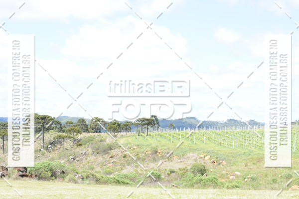 Buy your photos of the eventCIRCUITO DOS VINHEDOS - VINHOS DE ALTITUDE on Fotop