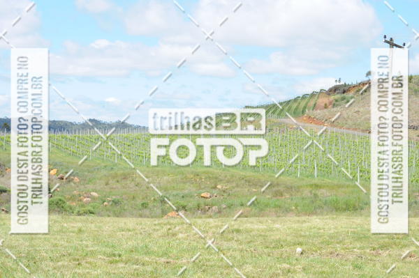 Buy your photos of the eventCIRCUITO DOS VINHEDOS - VINHOS DE ALTITUDE on Fotop