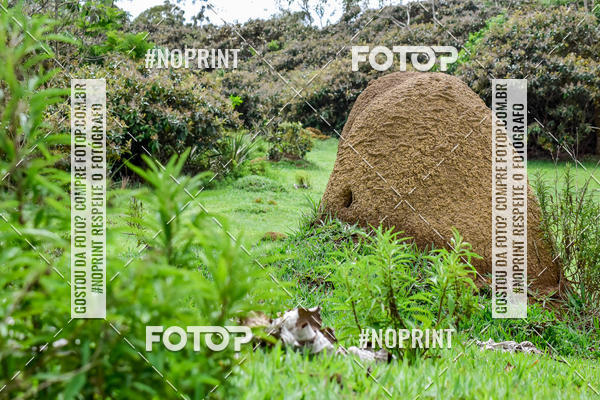Buy your photos of the eventCOPA VALE DE MTB LORENA - SP on Fotop