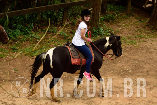 Buy your photos of the eventNR Sun - 31  A 04/11/18 on Fotop