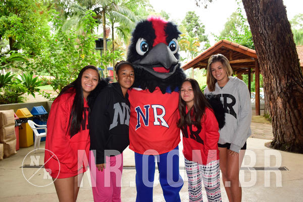 Buy your photos of the eventNR Sun - 31  A 04/11/18 on Fotop