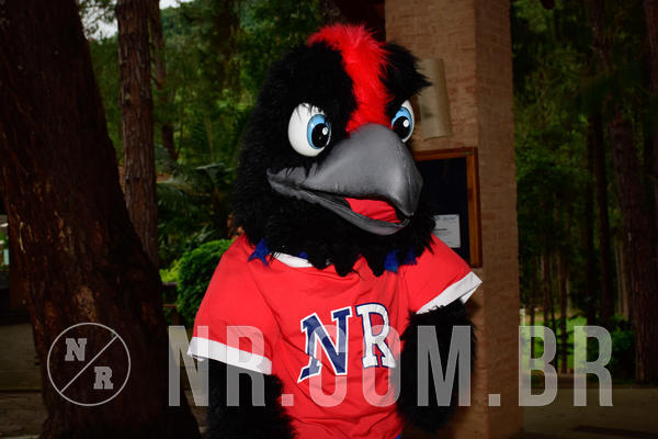 Buy your photos of the eventNR Sun - 31  A 04/11/18 on Fotop