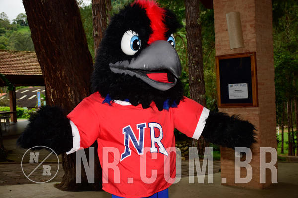 Buy your photos of the eventNR Sun - 31  A 04/11/18 on Fotop