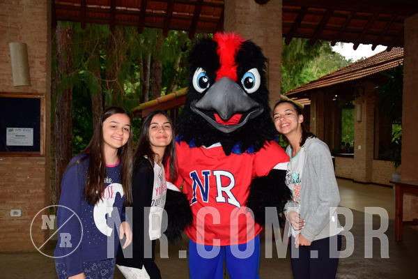 Buy your photos of the eventNR Sun - 31  A 04/11/18 on Fotop