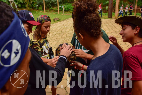 Buy your photos of the eventNR Sun - 31  A 04/11/18 on Fotop