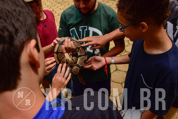 Buy your photos of the eventNR Sun - 31  A 04/11/18 on Fotop