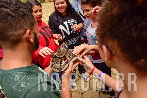 Buy your photos of the eventNR Sun - 31  A 04/11/18 on Fotop