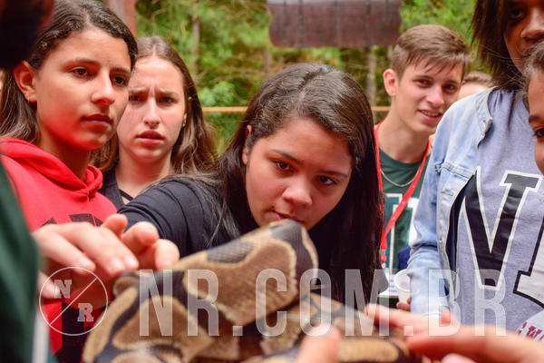 Buy your photos of the eventNR Sun - 31  A 04/11/18 on Fotop