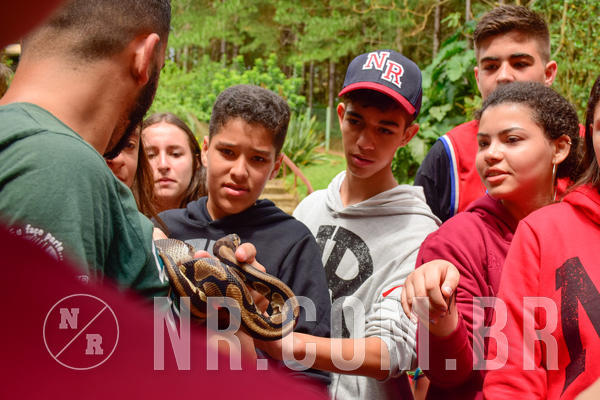 Buy your photos of the eventNR Sun - 31  A 04/11/18 on Fotop