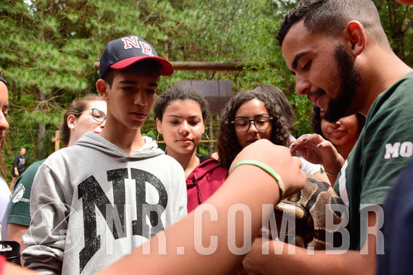 Buy your photos of the eventNR Sun - 31  A 04/11/18 on Fotop