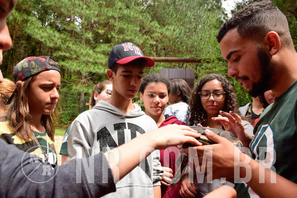 Buy your photos of the eventNR Sun - 31  A 04/11/18 on Fotop